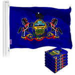 Load image into Gallery viewer, Pennsylvania PA State Flag 3x5 Ft 5Pack 150D Printed Polyester By G128