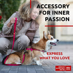 Load image into Gallery viewer, Nylon Dog Leash for Small Dogs and Medium Dogs 4 Ft Strong Dog Leash for Large Dogs Heavy Duty Dog Leashes for Large Breed Dogs & Puppy Leash for Small Boy & Girl Dogs