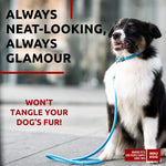 Load image into Gallery viewer, Blue Rolled Leather Dog Leash 6Ft x 0.5 in for Small Medium and Large Dogs