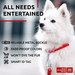 Load image into Gallery viewer, Red Ultra Soft Rolled Leather Dog Collar for XSmall Dogs 1013 inch Neck