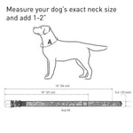 Load image into Gallery viewer, Design Leather Dog Collar for Puppy Small Medium and Large Dogs Boy & Girl Leather Dog Collar Leather Buckle Dog Collar White (10 1 4 13 3 4 Neck * 3 5 Wide Ethno 1)