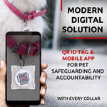 Load image into Gallery viewer, Rolled Leather Dog Collar Padded Small Dogs 8–10 in Neck Pink