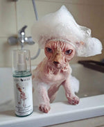 Load image into Gallery viewer, Probiotic Shampoo for Sphynx Cats (4.22)