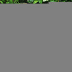 Load image into Gallery viewer, Garden Flag Welcome USA Flag Flower Pot 12x18 Inch Printed Blockout Polyester