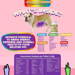 Load image into Gallery viewer, Prenatal Vitamins for Dogs & Cats 60 Pills Folic Acid & Minerals