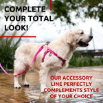 Load image into Gallery viewer, Waterproof Dog Leash 4 Ft 6 Ft Anti Slip Dog Leash for Large Dogs Small and Medium Dogs Heavy Duty Dog Leash with Water and Dirt Resistant Long Or Short Dog Leashes for Boy & Girl Dogs