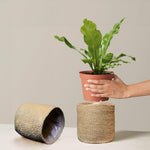 Load image into Gallery viewer, Jute Planter Basket Set of 2 Woven Jute Rope Covers for Decorating Indoor Outdoor Succulents Small Plant Pots Multi Purpose Storage Bins 6.5 Inches Modern Style Décor Brown