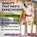 Load image into Gallery viewer, Recycled Cotton Dog Leash 10 Ft x 1 in Pink Eco Friendly Collar for Small