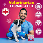 Load image into Gallery viewer, Dog UTI Treatment   Cranberry Supplement and Bladder Control for Dogs   UTI Chewable Treats (2 Pack)   240 Chews for Kidney Support   Bladder Stones   Urinary Tract Infection Incontinence Treatment