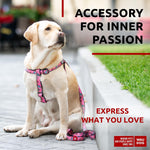 Load image into Gallery viewer, Nylon Dog Leash for Small Dogs and Medium Dogs 4 Ft Strong Dog Leash for Large Dogs Heavy Duty Dog Leashes for Large Breed Dogs &amp; Puppy Leash for Small Boy &amp; Girl Dogs