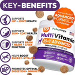 Load image into Gallery viewer, (2 Pack) Multivitamin Chews for Dogs
