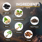 Load image into Gallery viewer, Shilajit Gummies 1000mg for Men Women Vegan Sugar Free Pineapple Flavor 60