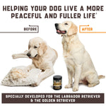 Load image into Gallery viewer, Calming Chews for Labrador Dogs with Valerian Root and Hemp Oil   Aid during Car