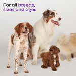 Load image into Gallery viewer, Dog UTI Treatment Bladder Control Chews Dog Cranberry Supplement for Urinary