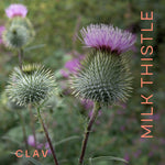 Load image into Gallery viewer, Organic Milk Thistle Artichoke Extract Complex Rich in Silymarin Bitters Liver