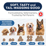 Load image into Gallery viewer, Probiotics for Dogs 170 Chews Dog Digestive Enzymes Prebiotics Support Gut