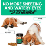 Load image into Gallery viewer, Natural Dog Allergy Chews for Dog Itch  Tasty Allergy Relief Pet Supplement for