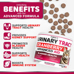 Load image into Gallery viewer, Cat Urinary Tract Infection Treatment Multivitamin Vitamins and Supplements