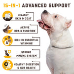 Load image into Gallery viewer, 15 in 1 Dog Multivitamin Supplements   Immunity Digestion Joint and Heart Health