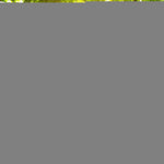 Load image into Gallery viewer, G128 Ireland Irish Bunting Banner  Flag 8.2 x 5.5 Inch, Full String 33 Feet  Printed 150D Polyester, Decorations For Bar, School, Festival Events Celebration