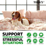 Load image into Gallery viewer, Hemp Calming Chews for Dogs   Advanced Dog Calming Chews   170 Treats   Anxiety Relief Treats   Hemp Oil   Separation Aid Stress Hip and Joint Supplement for Canine Health Support   Beef Flavor