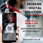 Load image into Gallery viewer, Ultra Soft Rolled Leather Dog Collar 18  21 inch Neck Red Soft Padded Dog