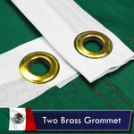 Load image into Gallery viewer, Mexico Mexican Flag 3x5 Ft 3Pack Printed Polyester By G128