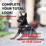 Load image into Gallery viewer, Nylon Dog Leash for Small Dogs and Medium Dogs 4 Ft x 3/5 inch Wide NASA Design