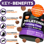Load image into Gallery viewer, Melatonin for Dogs   Calming Chews for Dogs   Made in USA