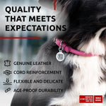 Load image into Gallery viewer, Ultra Soft Rolled Leather Dog Collar 13-16 inch Neck Soft Padded Dog Collars for Medium Dogs Puppy Collars for Large Breed Dogs Male and Female Dog Collar