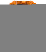 Load image into Gallery viewer, Dog Multivitamin Chewable with Glucosamine 16 in 1 Dog Vitamins