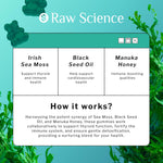 Load image into Gallery viewer, Irish Sea Moss Gummies 60 Gummies Detox &amp; Thyroid Support for Women &amp; Men Black