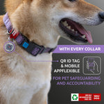 Load image into Gallery viewer, Reflective Cotton Dog Collar 10-16 inch Neck x 4/5 inch Wide Eco Friendly Alt to Nylon Collar for Small Medium and Large Dogs Pet Collar with QR ID Tag   Puppy Collar for Large Breed Dogs Adjustable Male Female Dog Collar