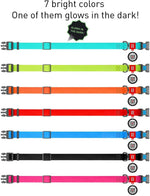 Load image into Gallery viewer, Waterproof Dog Collar 14-22 inch Neck x 0.5 inch Wide Plastic Buckle Glowing Heavy Duty Adjustable Durable Dog Collars for Small Medium Large Dogs Red Blue Pink Mint Green Dog Collar Safety Plus (14 1 2 22  Neck Glowing)