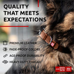 Load image into Gallery viewer, Leather Dog Collar Small &amp; Medium Dogs 12–15 in Neck Brown