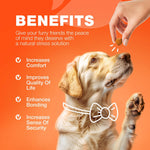 Load image into Gallery viewer, Glucosamine for Dogs  Joint Supplement for Dogs  Glucosamine Chondroitin  180 Hip and Joint Care Mobility Chews  MSM, Turmeric  Advanced Mobility Support  Bone Health  Large and Small Breeds