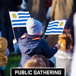 Load image into Gallery viewer, G128 50 Pack Handheld Uruguay Uruguayan Stick Flags  12x18 In  Printed 150D Polyester, Country Flag, Solid Wooden Stick, Spear Gold Tip