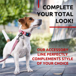 Load image into Gallery viewer, Recycled Cotton Dog Leash 6 Ft 10 Ft Eco Friendly Collar for Small Medium &amp; Large Dogs Reflective Dog Leash for Medium Dogs Strong Leashes for Large Breed Dogs Puppy Leash for Small Dogs
