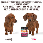 Load image into Gallery viewer, 180 Pcs Cranberry Chews Dog Cranberry Supplement Natural Aid for Urinary Tract