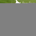 Load image into Gallery viewer, Organic Matcha Latte Pure Japanese Tea Blend with Ashwagandha Vanilla 4.68 oz