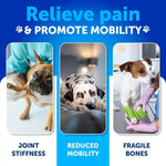 Load image into Gallery viewer, Hemp Hip &amp; Joint Supplement for Dogs 240 Count 2-Pack Glucosamine Chondroitin &amp; MSM