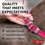 Load image into Gallery viewer, Pink Long Lasting Leather Dog Collar Adjustable for Medium Dogs 1215 inch Neck