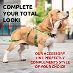 Load image into Gallery viewer, WAUDOG Nylon Dog Leash for Small Dogs and Medium Dogs 4 Ft Strong Dog Leash for Large Dogs Heavy Duty Dog Leashes for Large Breed Dogs &amp; Puppy Leash for Small Boy &amp; Girl Dogs