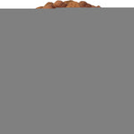 Load image into Gallery viewer, Dog Vitamins 15 in 1 Multivitamin Chews with MSM for Hip Joint Health Dog