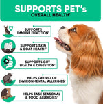 Load image into Gallery viewer, Natural Dog Allergy Chews for Dog Itch  Tasty Allergy Relief Pet Supplement for