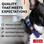 Load image into Gallery viewer, Purple Long Lasting Leather Dog Collar for Medium Dogs 1215 inch Neck