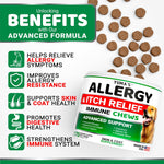 Load image into Gallery viewer, Dog Allergy Relief Chews Dog Itching Skin Relief Treatment Pills 170 Treats