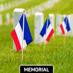 Load image into Gallery viewer, G128 24 Pack Handheld France French Stick Flags  12x18 In  Printed 150D Polyester, Country Flag, Solid Wooden Stick, Spear Gold Tip