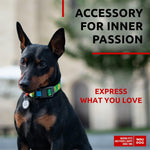 Load image into Gallery viewer, Nylon Dog Collar Adjustable Dog Collar for Large Dogs Small &amp; Medium Dogs Breakaway Puppy Collars for Large Breed Dogs Boy &amp; Girl Dog Collars with Durable Plastic Buckle and QR Dog Tag