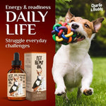 Load image into Gallery viewer, Charlie Buddy   Hеmp Oil for Dogs Cats   Hiр and Jоint Suppоrt and Skin Hеalth